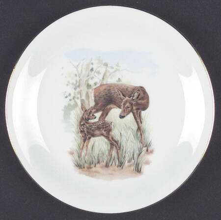SLT36 Salad Plate