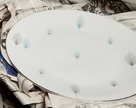 SLT40 Dinner Plate