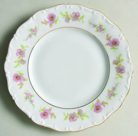 Theresia Floral Salad Plate by Seltmann