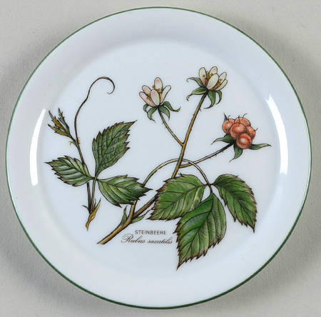 Waldbeere Coaster