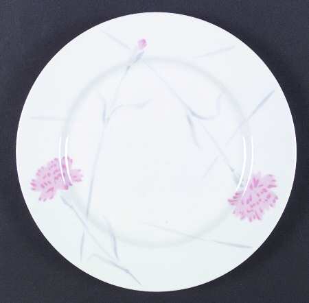 Pink Carnations by Studio Nova