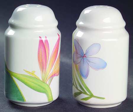 Tropical Splendor Salt & Pepper Set