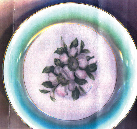 SON15 Saucer