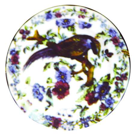 7905 by Spode