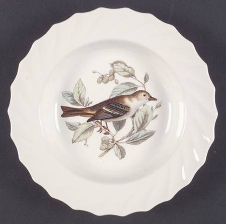 American Birds Rim Soup Bowl