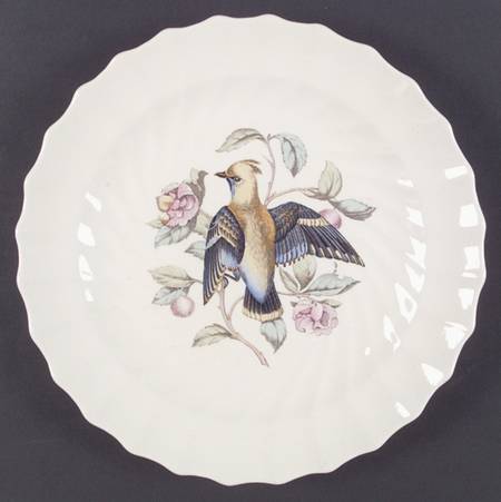 American Birds Dinner Plate
