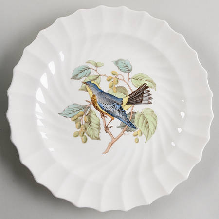 American Birds Dinner Plate