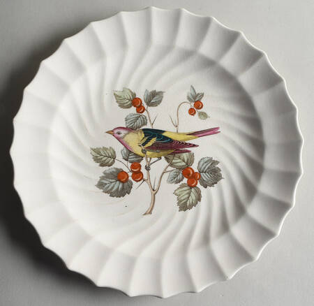 American Birds Dinner Plate