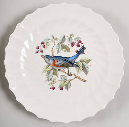 American Birds by Spode