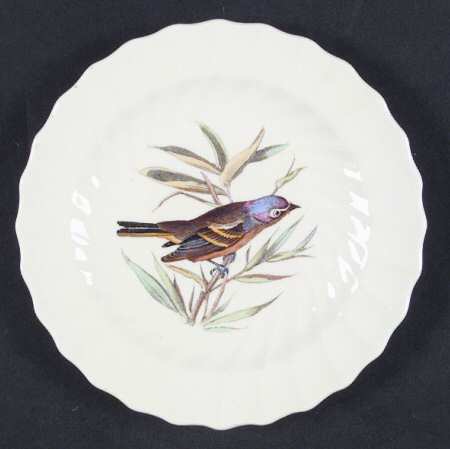 American Birds Bread & Butter Plate
