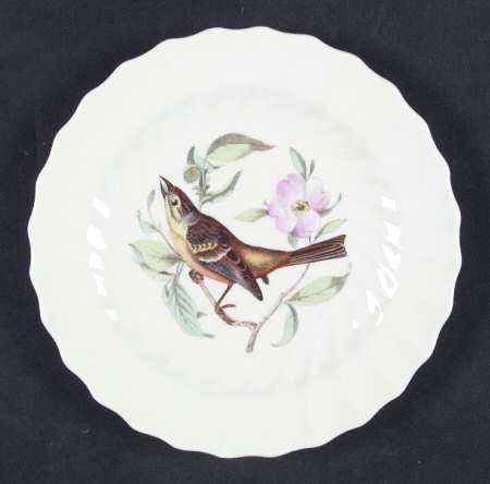 American Birds Bread & Butter Plate