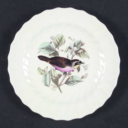American Birds Bread & Butter Plate