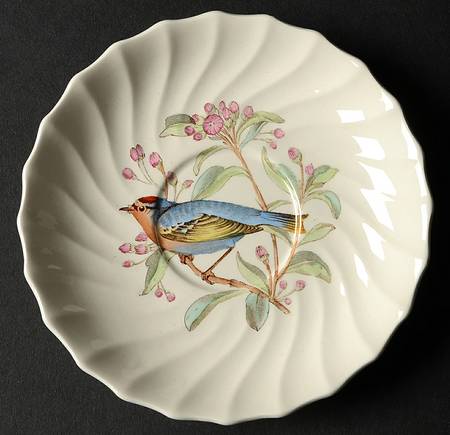 American Birds Saucer for Flat Cup
