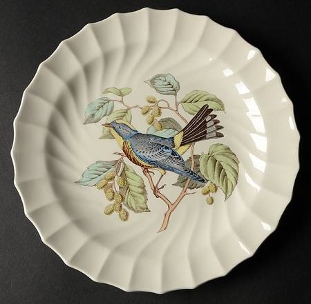 American Birds Luncheon Plate