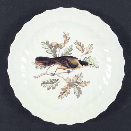 American Birds Luncheon Plate