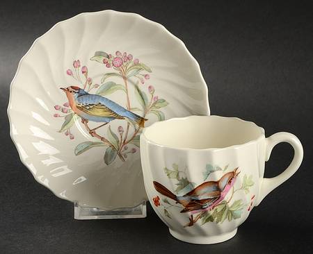 American Birds Flat Cup & Saucer Set