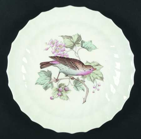 American Birds Luncheon Plate