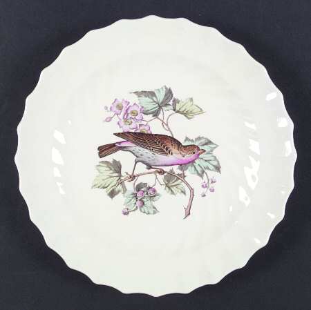 American Birds Dinner Plate