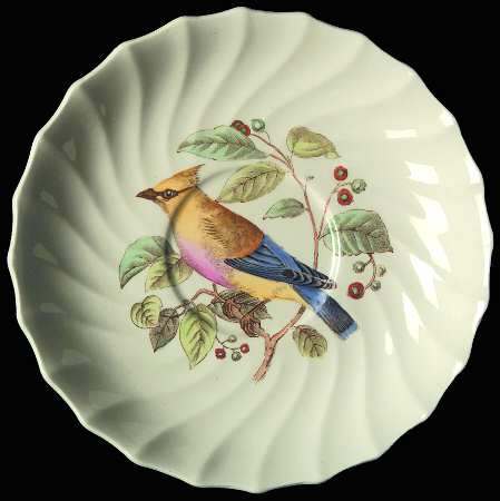 American Birds Saucer for Flat Cup