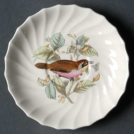 American Birds Saucer for Flat Cup