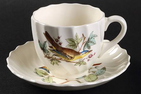 American Birds Flat Cup & Saucer Set