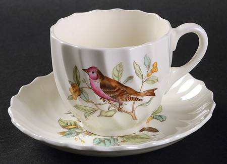 American Birds Flat Cup & Saucer Set