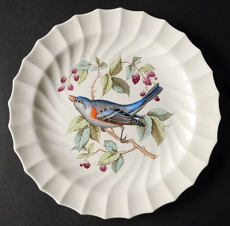 American Birds Luncheon Plate