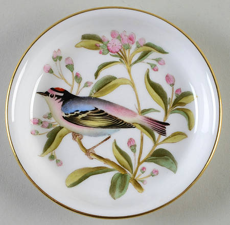 Audubon Birds Coaster