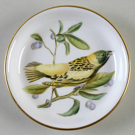 Audubon Birds Coaster