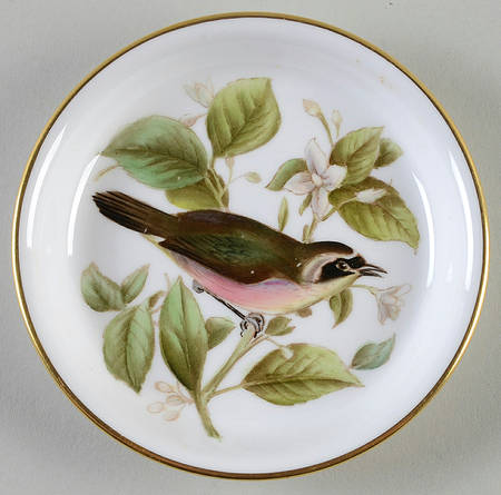 Audubon Birds Coaster