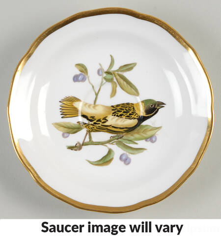 Audubon Birds Saucer for Flat Cup