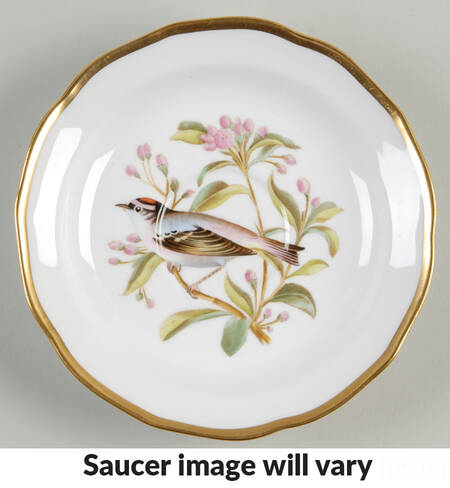 Audubon Birds Saucer for Flat Cup