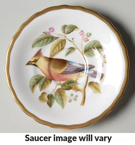 Audubon Birds Saucer for Flat Demitasse Cup