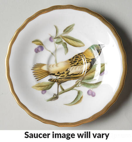 Audubon Birds Saucer for Flat Demitasse Cup