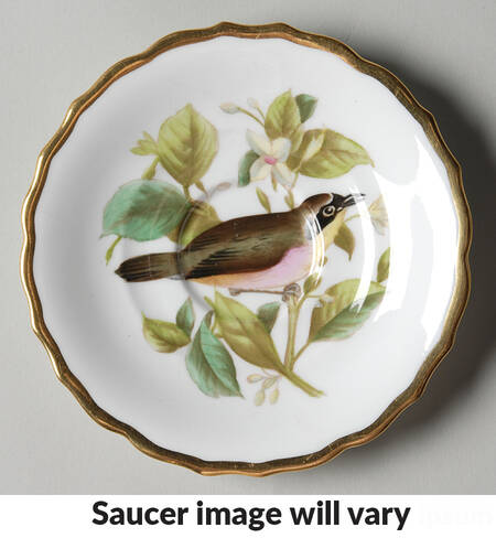 Audubon Birds Saucer for Flat Demitasse Cup