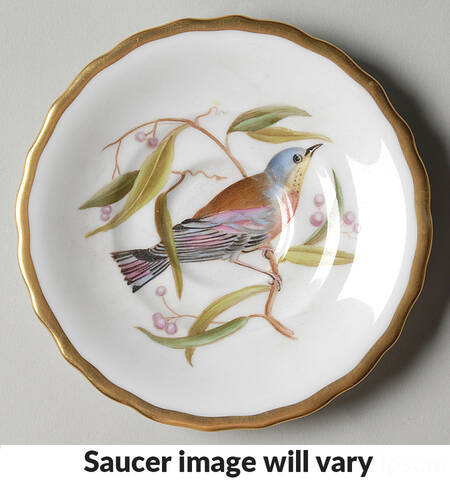 Audubon Birds Saucer for Flat Demitasse Cup