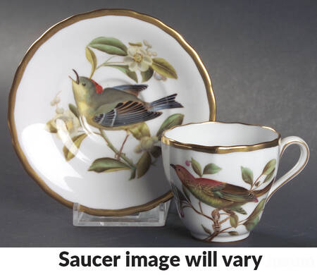 Audubon Birds Flat Demitasse Cup & Saucer Set