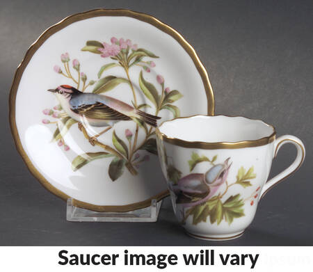 Audubon Birds Flat Demitasse Cup & Saucer Set
