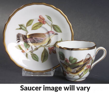 Audubon Birds Flat Demitasse Cup & Saucer Set