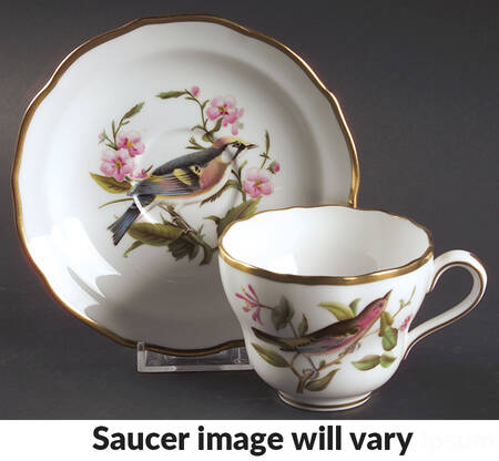 Audubon Birds Flat Cup & Saucer Set