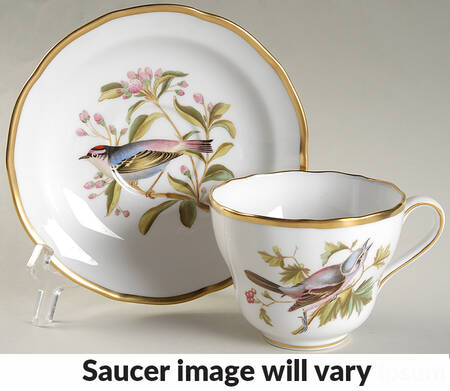 Audubon Birds Flat Cup & Saucer Set