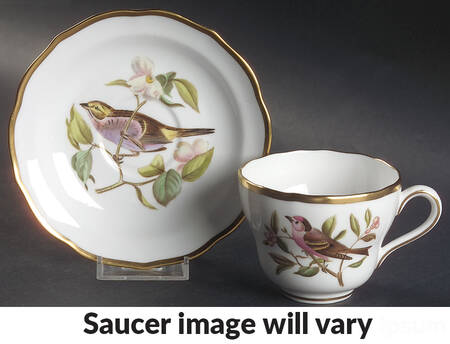 Audubon Birds Flat Cup & Saucer Set