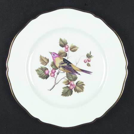 Audubon Birds by Spode
