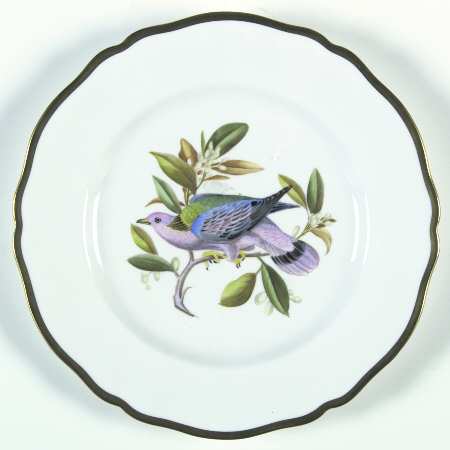 Audubon Birds Salad Plate