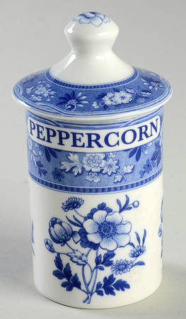 Blue Room Collection Spice Jar Set Individual Jar & Lid