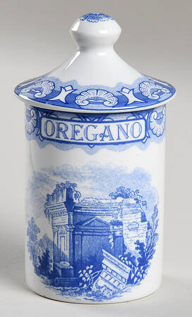 Blue Room Collection Spice Jar Set Individual Jar & Lid