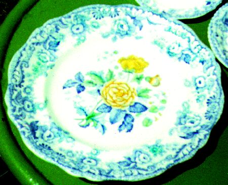 British Flowers by Spode