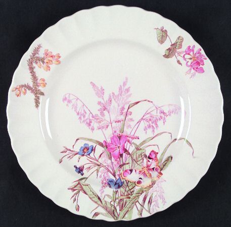 Broom by Spode