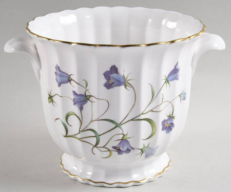 Campanula 5" Cachepot