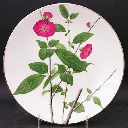 Chinese Flowers Salad Plate